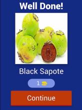 Fruits Name Guess Quiz Game截图5