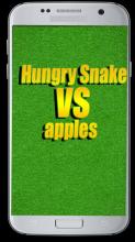 Hungry Snake vs apples截图5