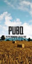 PUBQ  Player Unknown's Battle Quiz截图5