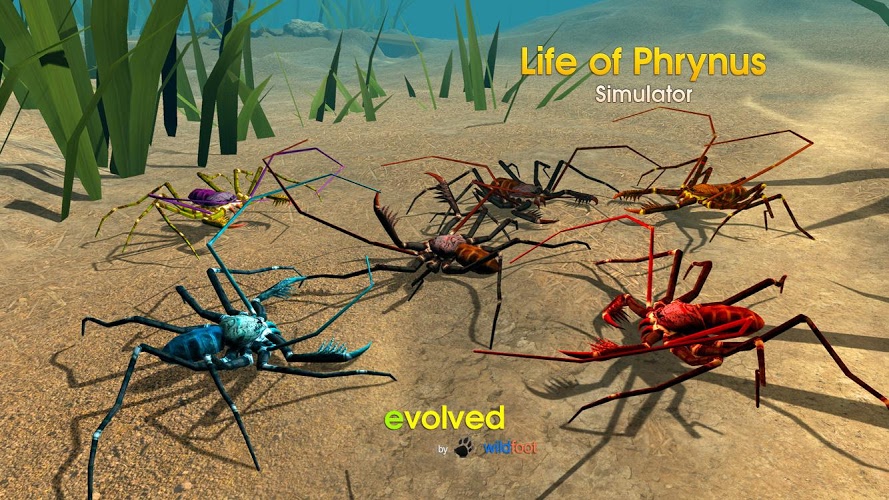 Life of Phrynus - Whip Spider截图1