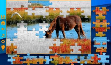 Puzzles without the Internet截图3