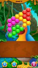 Hexagon Quest  Block Puzzle截图5