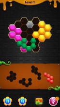 Classic Hexa Block截图4