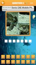 quizz animaux aquatiques截图2