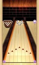 Bowling Play截图3