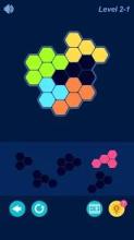 Amazing Hexagon Fit Puzzle截图5