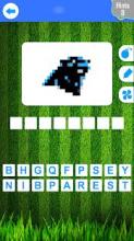 Guess American Football Teams截图3