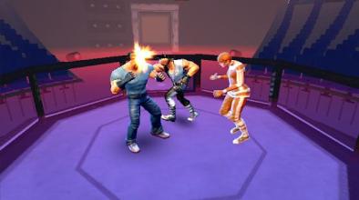 Real Punch Boxing: Kung Fu karaty Star截图5