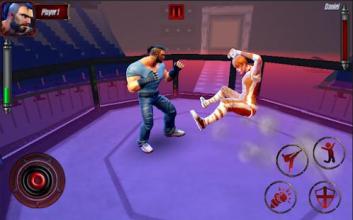 Real Punch Boxing: Kung Fu karaty Star截图4