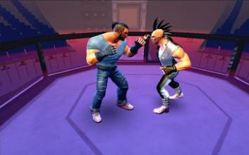 Real Punch Boxing: Kung Fu karaty Star截图2