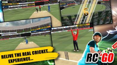 Real Cricket™ GO截图5