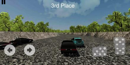 3d Racing extreme截图1