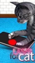 Laser pointer for cats截图3