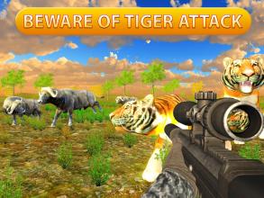 Animal Hunting  Sniper Expert Safari Shooter截图1