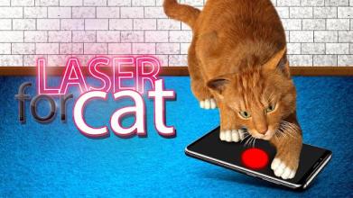 Laser pointer for cats截图4