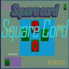 Square Cord截图2