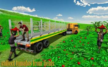 Camion Tomato TransporterFruit Barn Delivery截图4