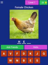 Animal Name: Male, Female, & Young (Animal Game)截图5