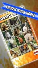 Horse Slide Puzzle: free horses slider puzzle截图1