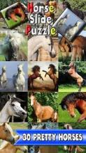 Horse Slide Puzzle: free horses slider puzzle截图5