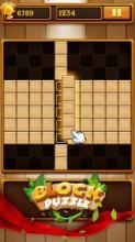 Wood Puzzle Game截图1