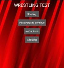 Wrestling Test截图4