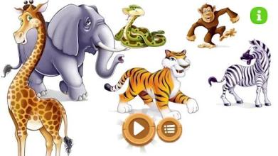 Jungle Animals Card截图4