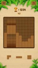 Block Puzzle - Wooden截图1