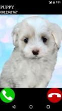 Puppy Call Simulation Game截图3