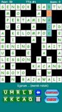 Teka-Teki Silang Praktis (Crossword Game)截图4