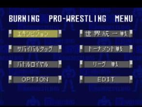 Burning Pro Wrestling截图2