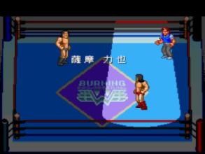 Burning Pro Wrestling截图4