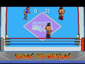 Burning Pro Wrestling截图3