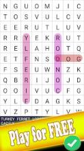 Crossword Wordsearch截图2