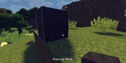 A Block of Charcoal Mod for MCPE截图2