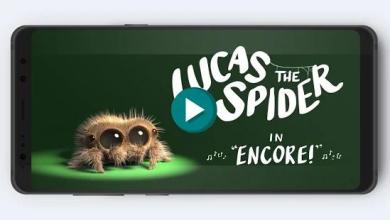 Lucas Spider Music截图5