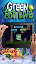 Green Fish Live - Game Ikan Seru截图2