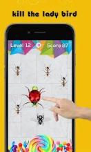 Ant Smasher game – ants smasher free截图4