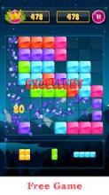 Block Puzzle Game Classic 2019截图2