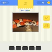 Picture Quiz for Kids截图2