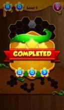 hexa puzzle kingdom!截图2