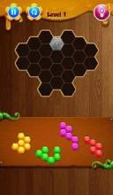 hexa puzzle kingdom!截图4