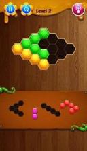 hexa puzzle kingdom!截图1