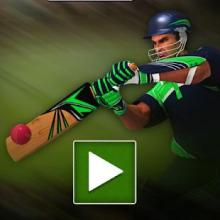 Cricket Challenge截图4