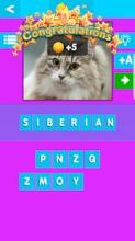 Cat Breeds Quiz截图1