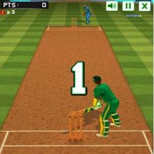 Cricket Challenge截图1