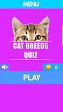 Cat Breeds Quiz截图4