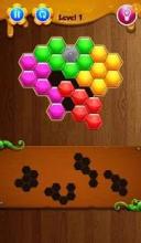 hexa puzzle kingdom!截图3