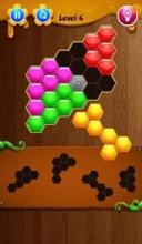 hexa puzzle kingdom!截图5