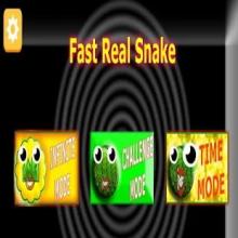 Fast Real Snake截图4